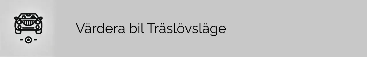 Värdera bil Träslövsläge